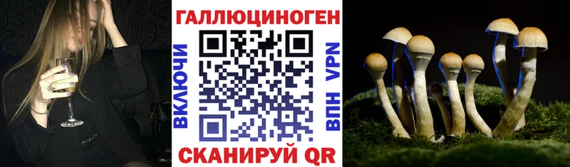 Галлюциногенные грибы MAGIC MUSHROOMS  наркотики  Усть-Кут 